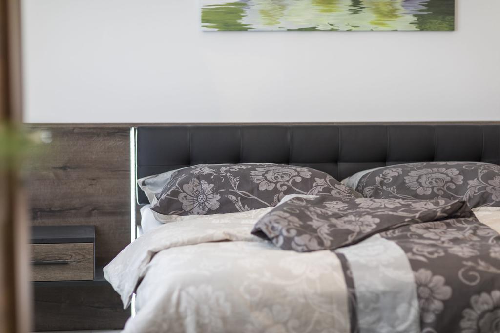 Apartman Dolni Namesti オロモウツ エクステリア 写真