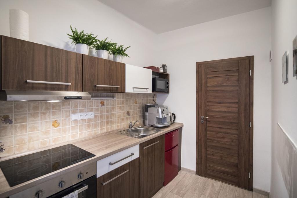 Apartman Dolni Namesti オロモウツ エクステリア 写真