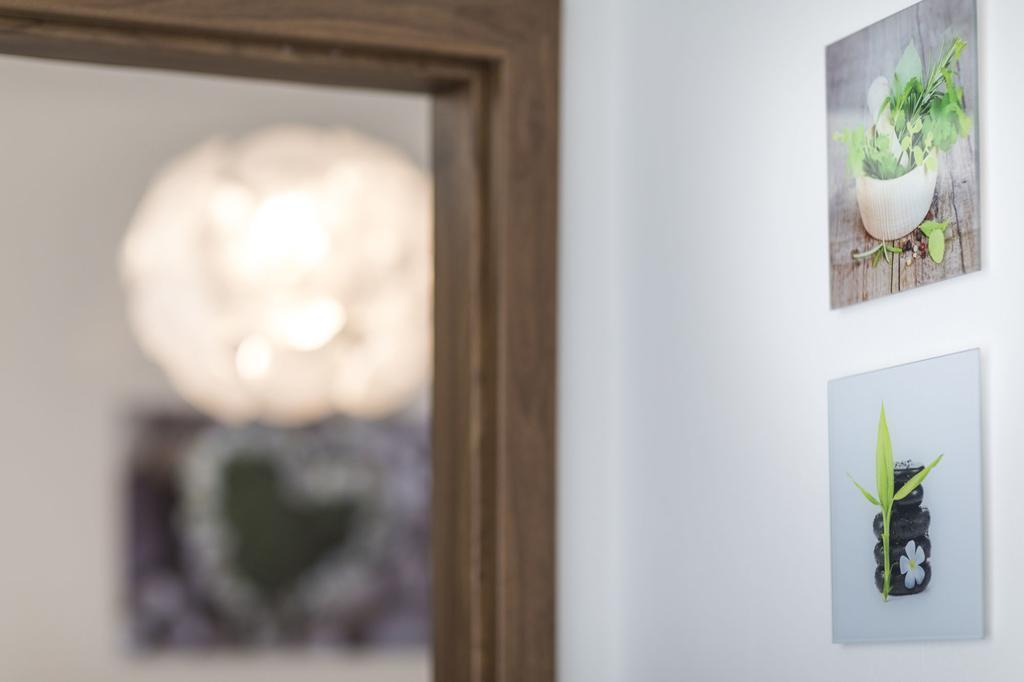 Apartman Dolni Namesti オロモウツ エクステリア 写真